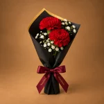 Wardeina Scarlet Carnation Duo